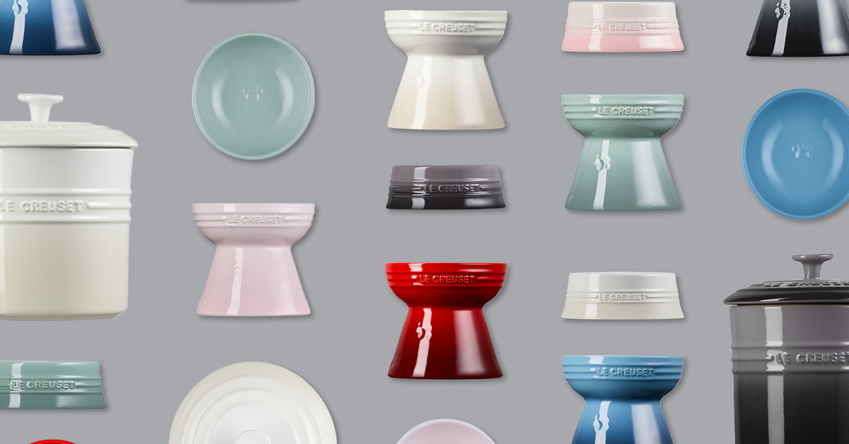 猫の食器は何色がいい?猫にやさしいカラー選びのポイント