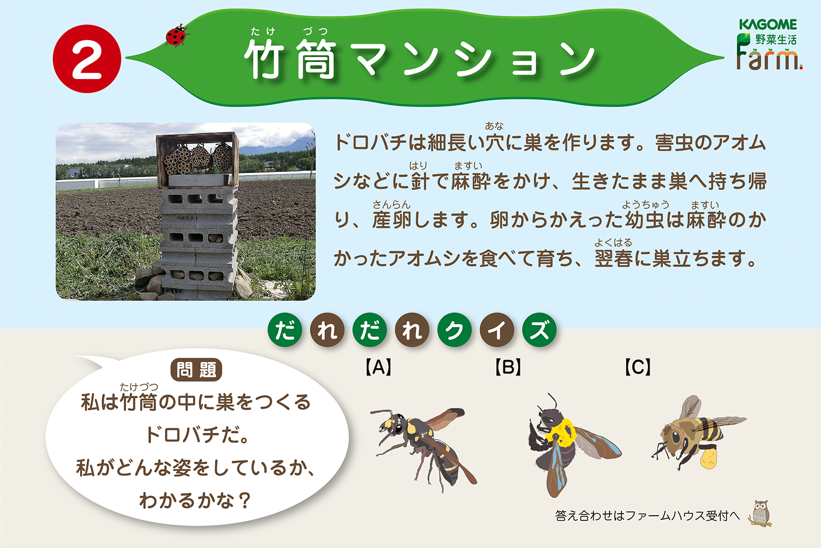 生物多様性について学べるクイズの例