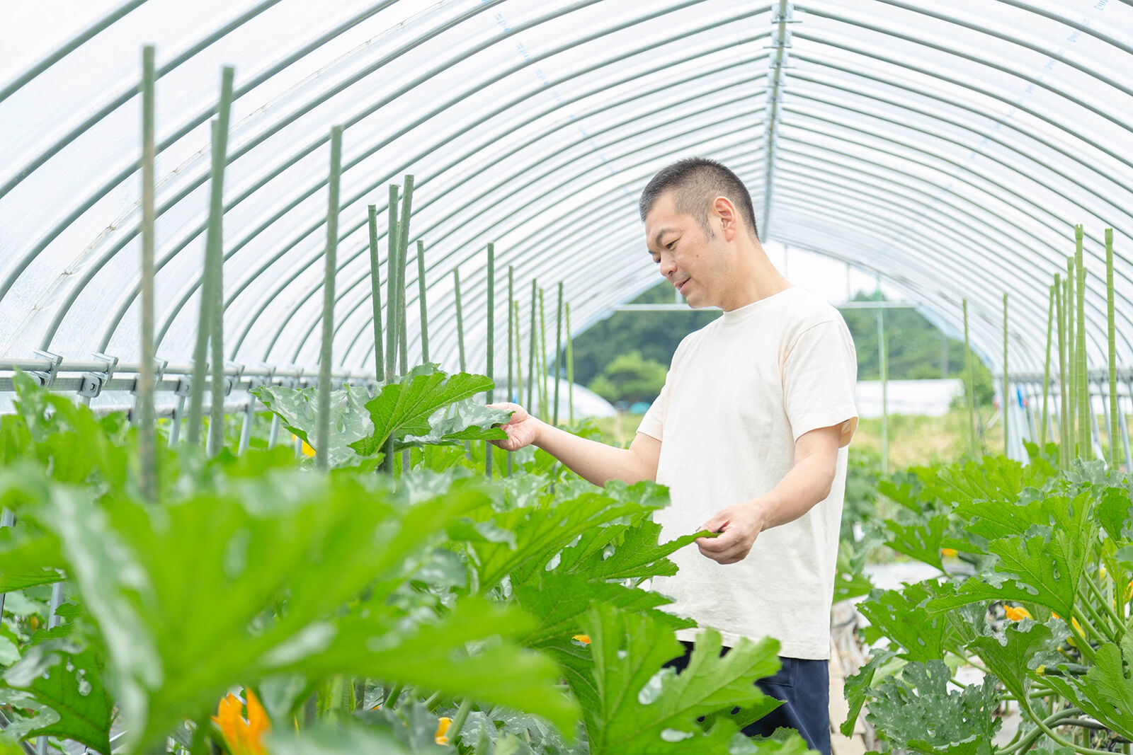 ファームで採れた新鮮な野菜を使ったメニューも