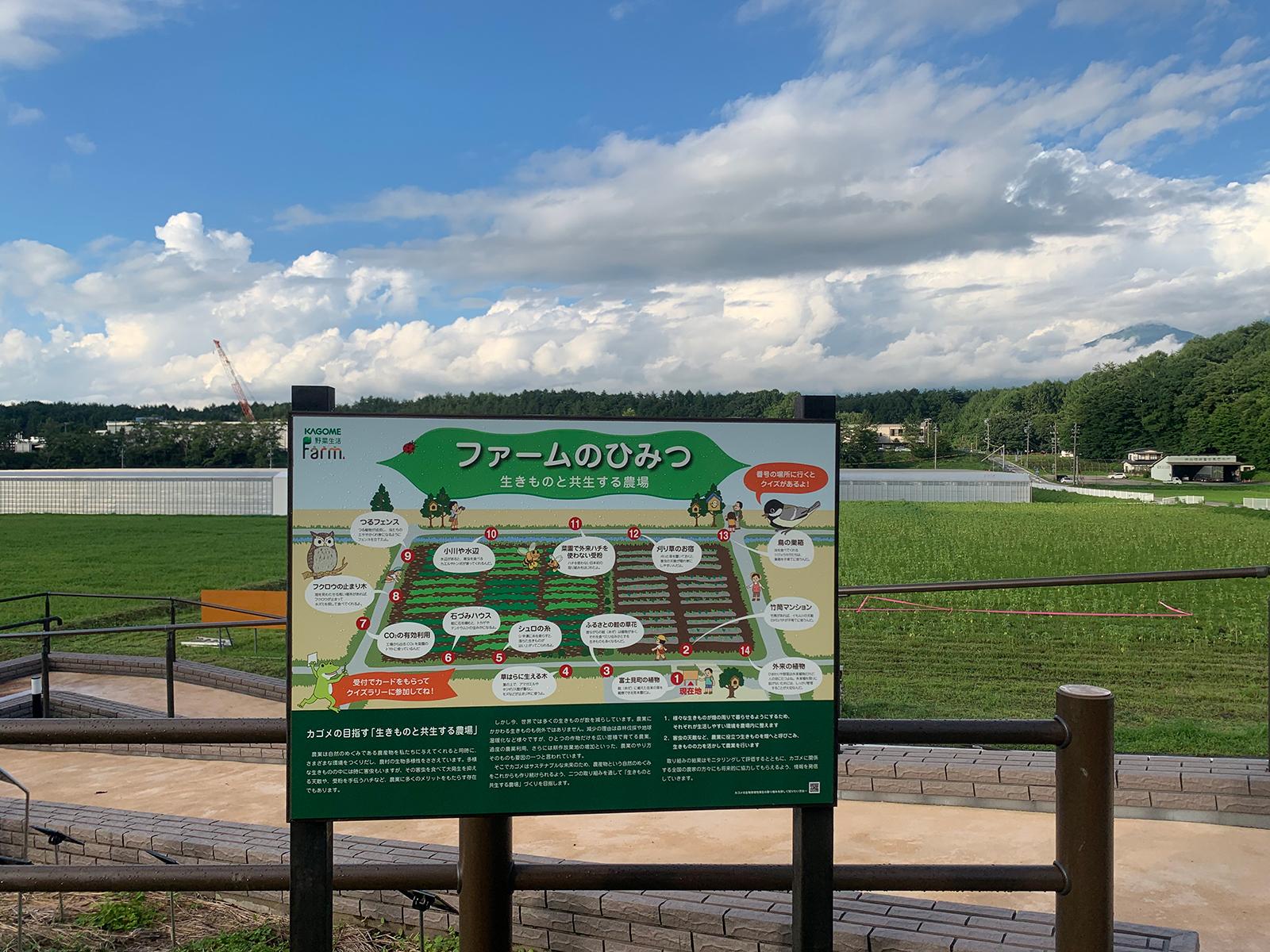 生物多様性モデル圃場