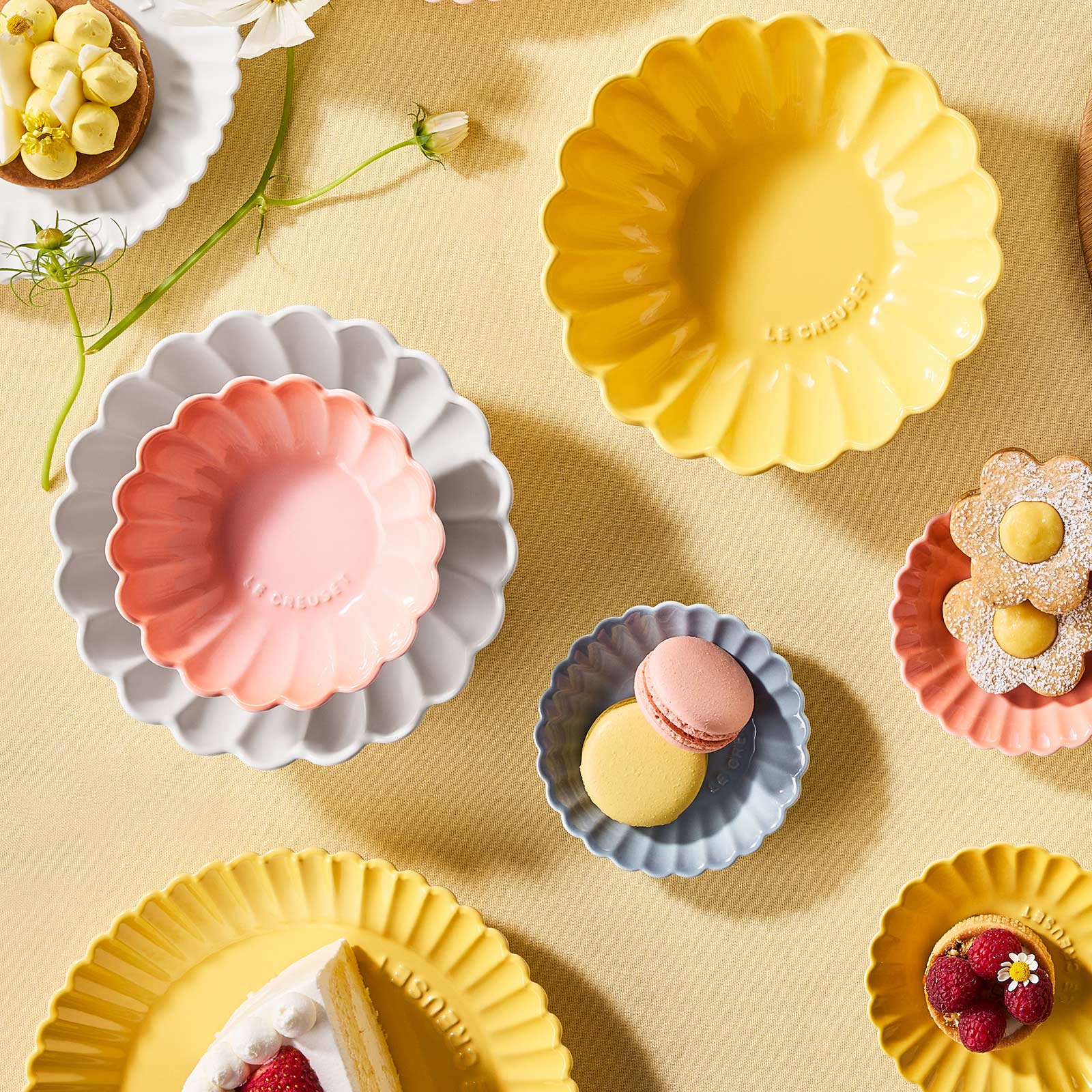 ガーベラ・ボール image number 5