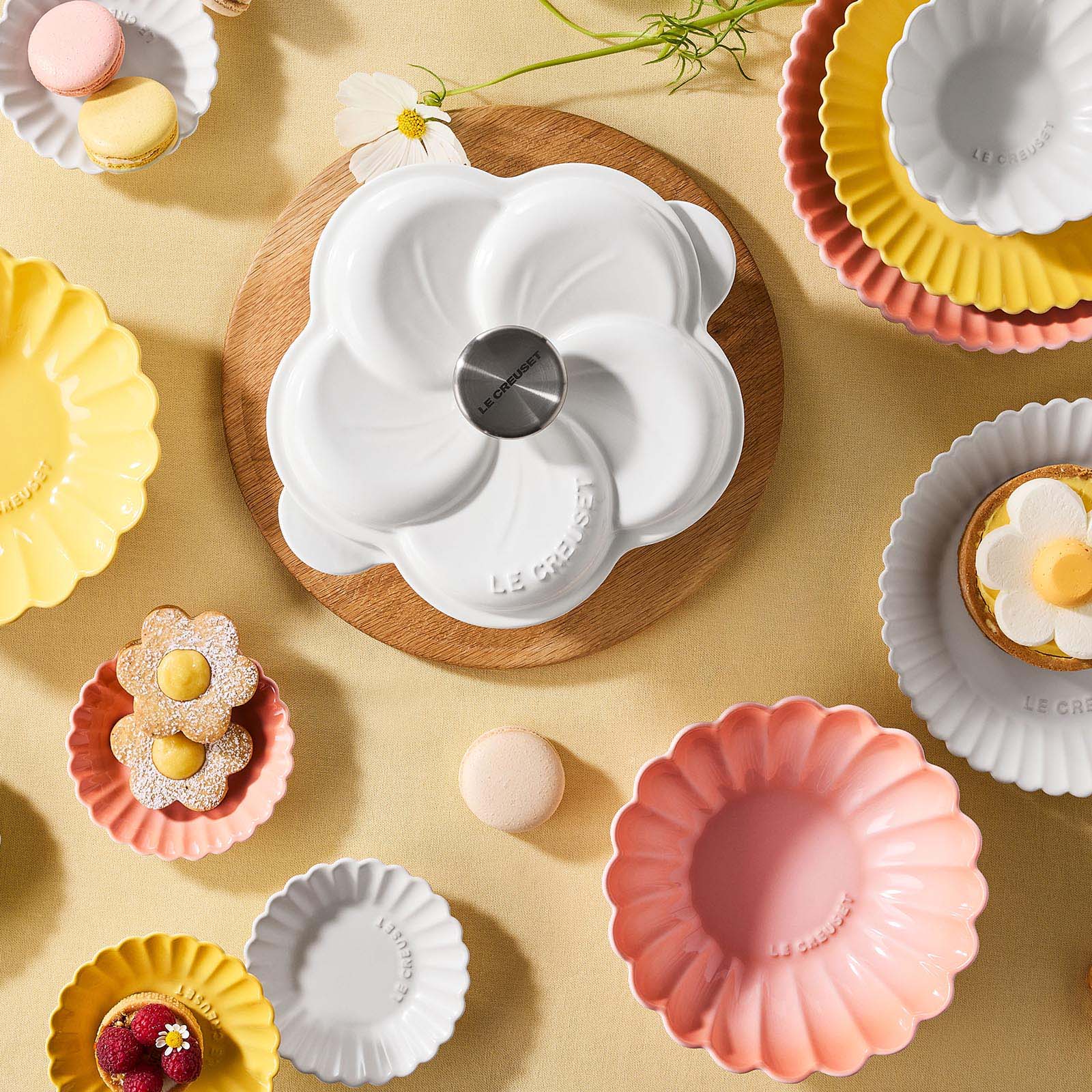 ガーベラ・ボール image number 4