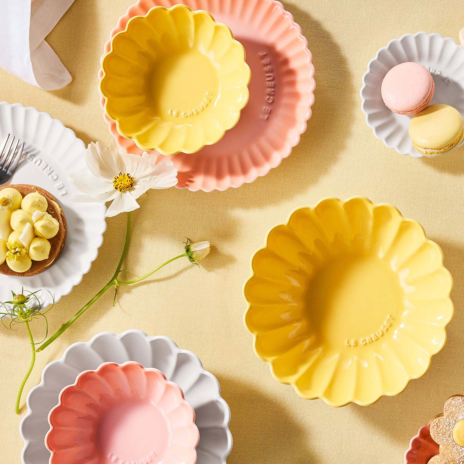 ガーベラ・ボール image number 4