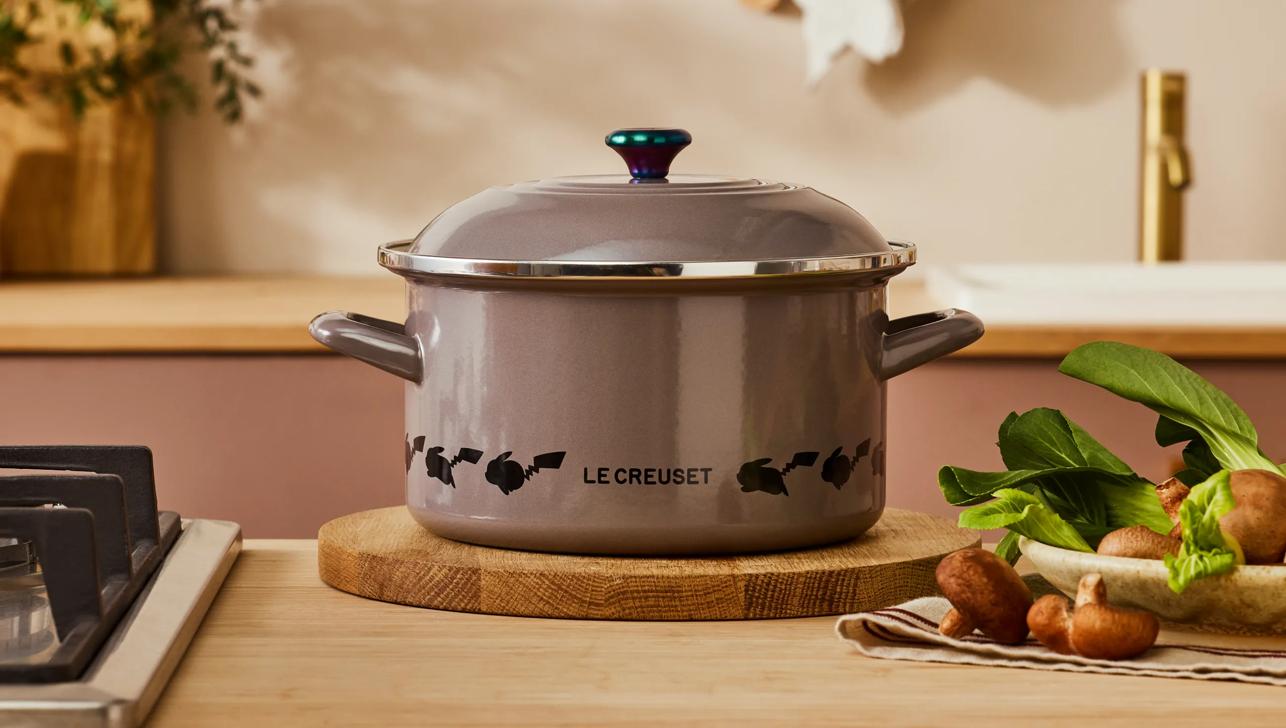 ポケモン EOS キャセロール 20cm グリス 使用場面